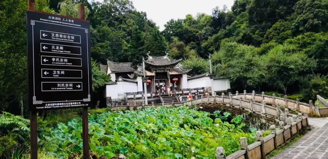 腾冲研学