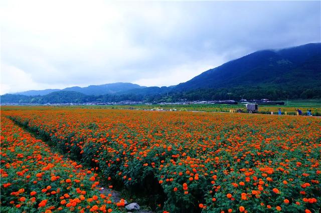 腾冲徒步路线马拉松赛道