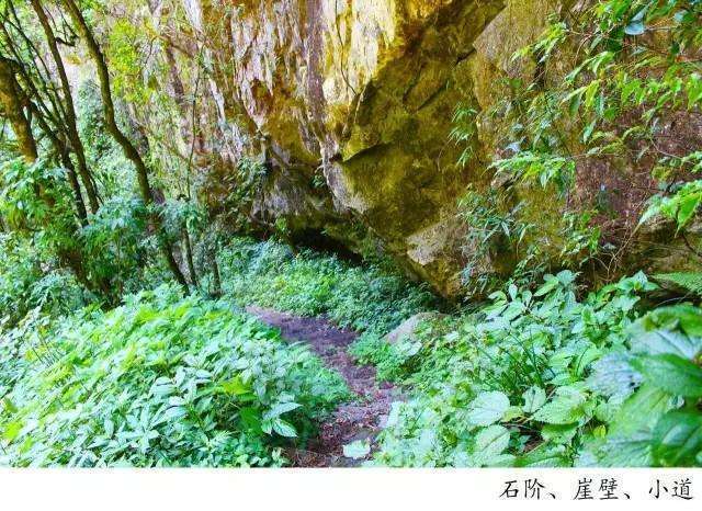 腾冲高黎贡山徒步之五道溪徒步