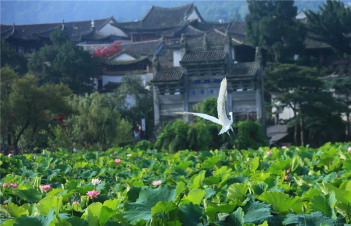 五一首发  “中国第一魅力名镇”——和顺古镇邂逅腾冲生态之美