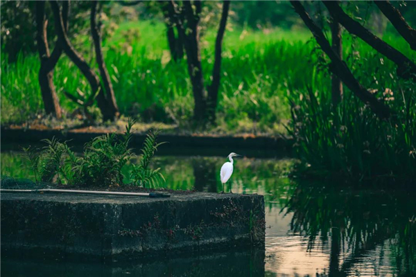 腾冲旅游