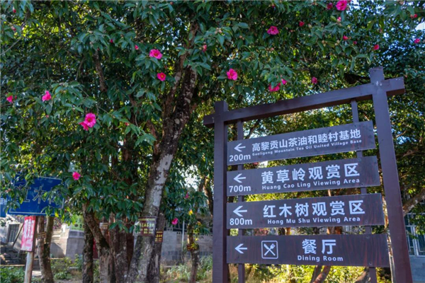 腾冲旅游