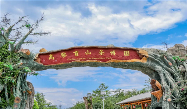 【国家AAA级景区】腾冲高黎贡山茶博园