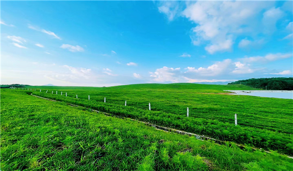 腾冲旅游