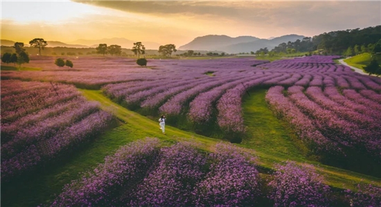 【国家AAAA级景区】腾冲原乡栖花岭景区