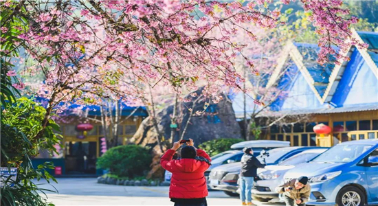 腾冲旅游