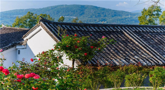 腾冲旅游