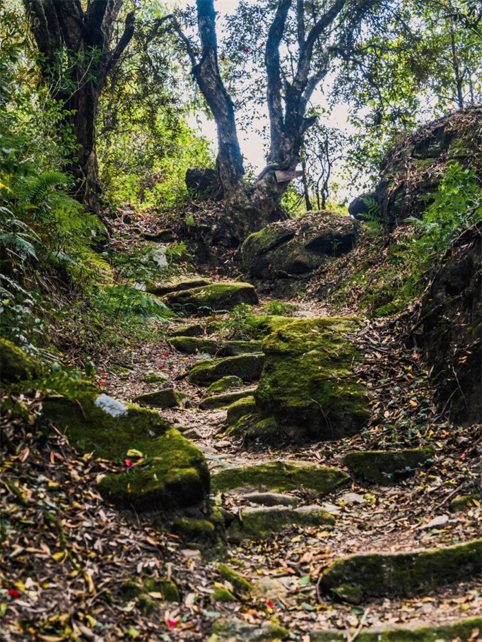 玉璧古道实景图