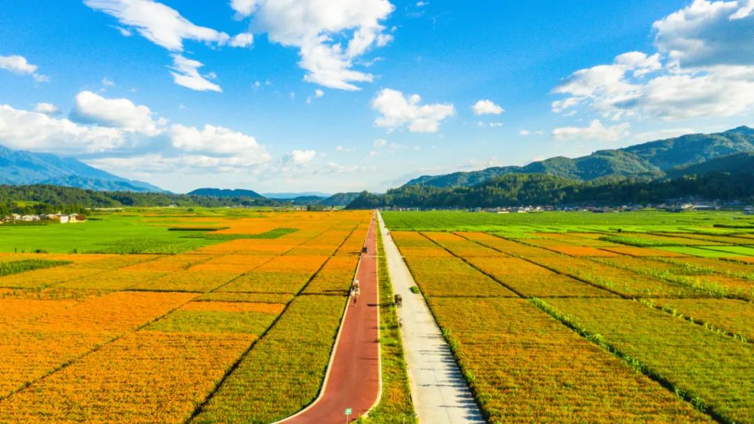 腾冲资讯：来腾冲赏花海之路，玉璧古路，马帮之路，世界之路，抗战之路。