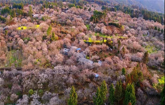 腾冲旅游