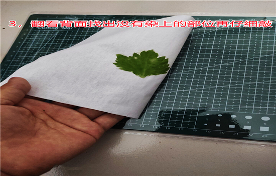 腾冲户外拓展