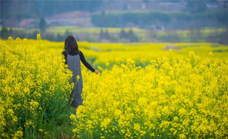 腾冲旅游