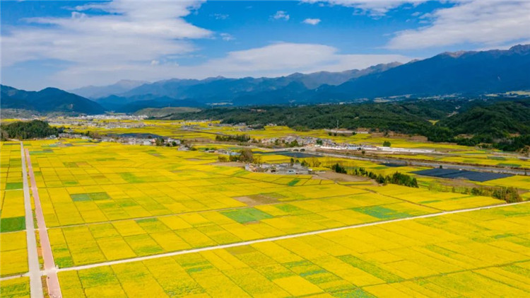 腾冲景区景点
