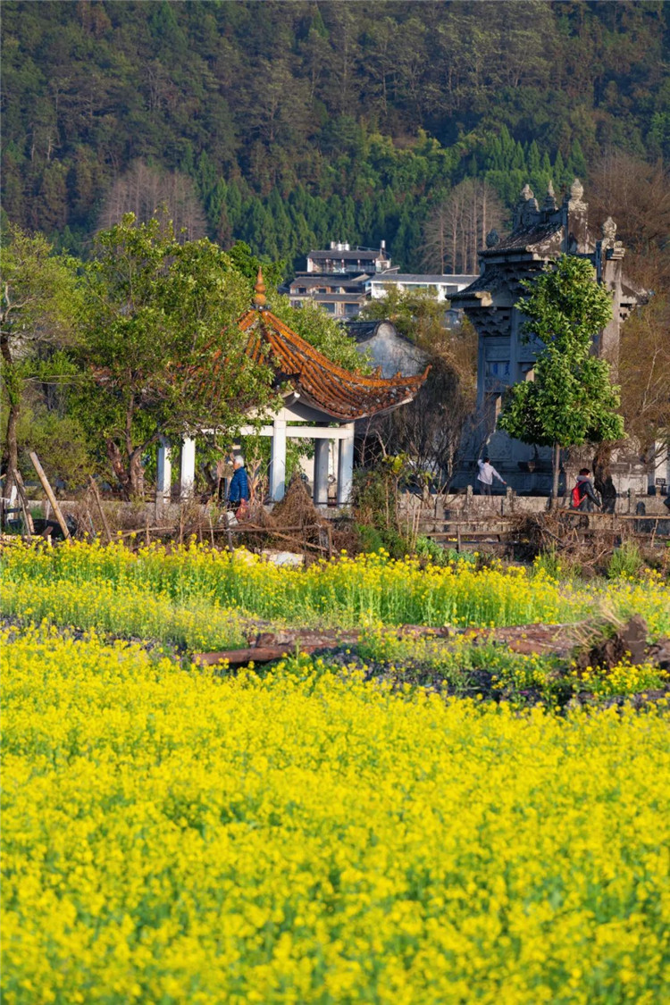 腾冲景区景点