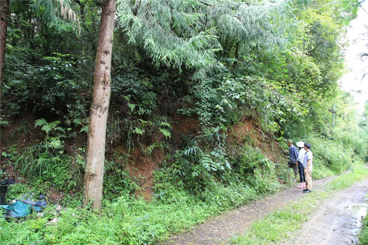 腾冲旅游