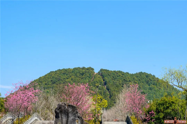 腾冲旅游