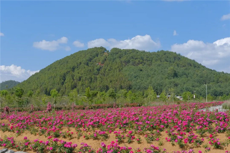腾冲旅游
