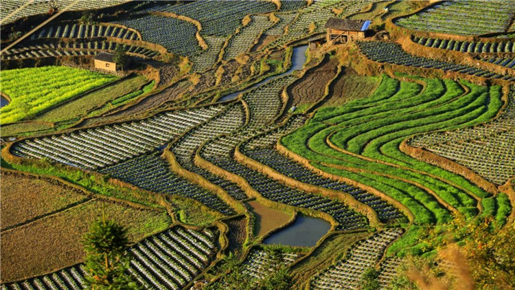 腾冲景区景点