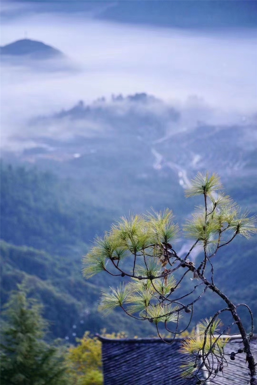 腾冲旅游