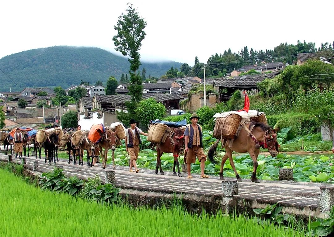 腾冲旅游