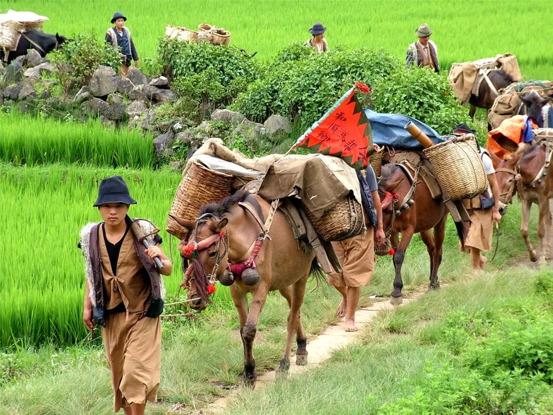 腾冲旅游