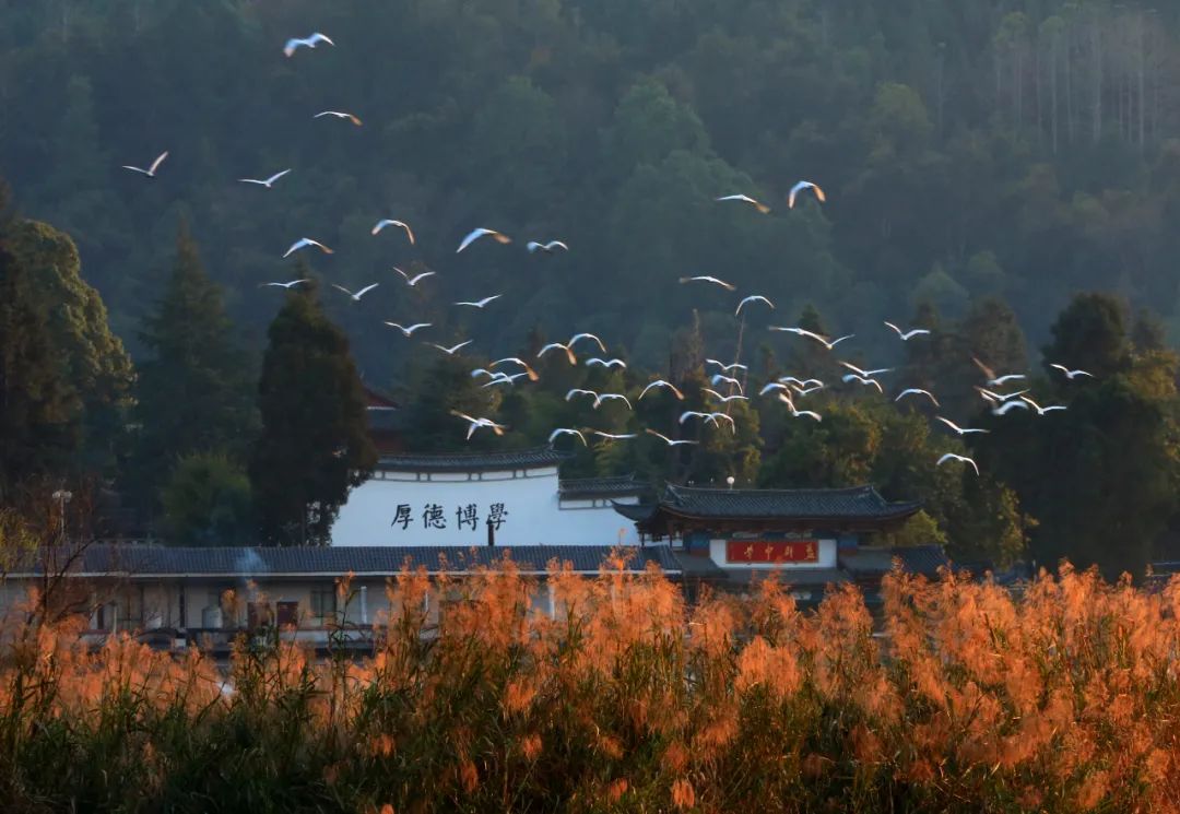 腾冲旅游