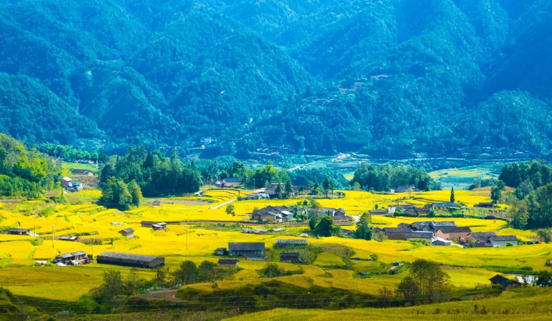 腾冲旅行社：腾冲旅游推荐,腾冲乡镇花样游，陡山日出候君来，芒棒美景伴君行