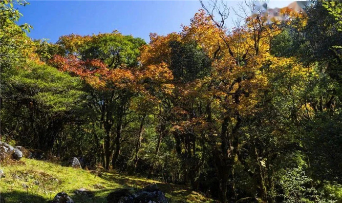 腾冲旅游