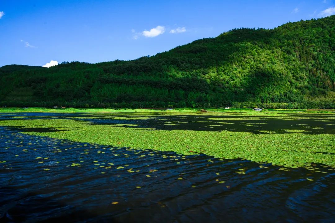 绿水青山